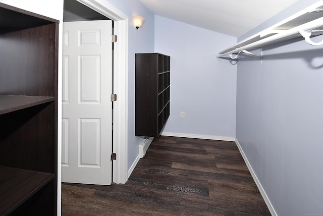 spacious closet featuring dark wood-type flooring