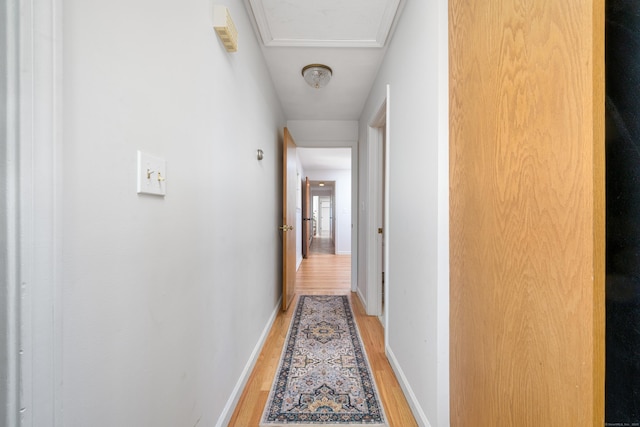 hallway with hardwood / wood-style flooring