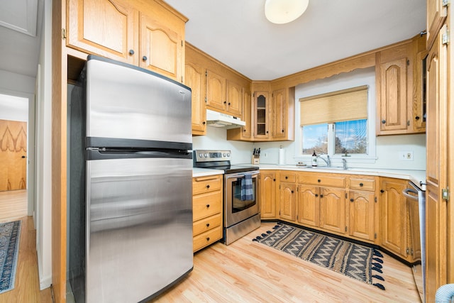 kitchen with appliances with stainless steel finishes, sink, and light hardwood / wood-style floors