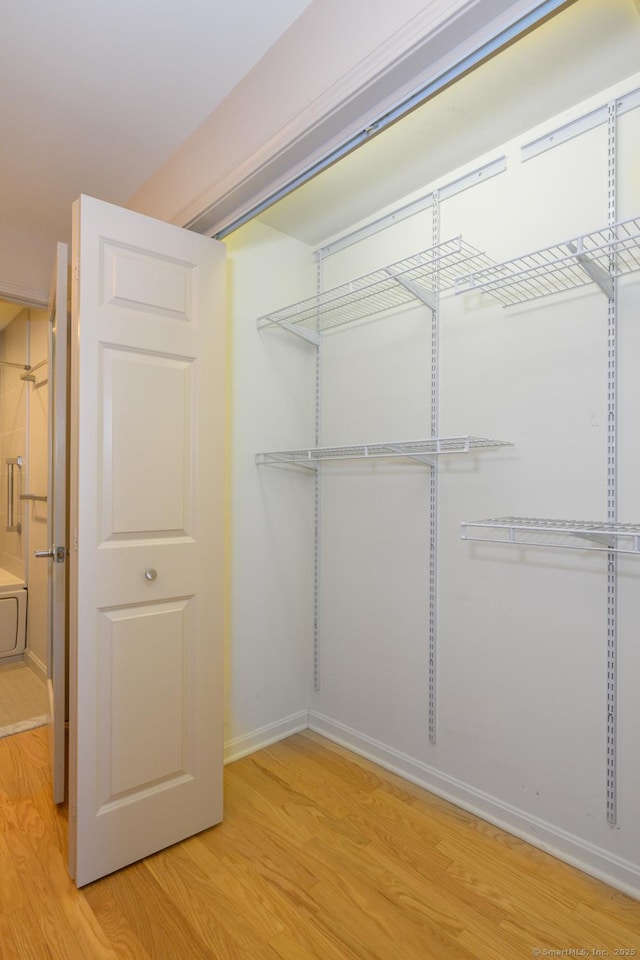 walk in closet with light wood-type flooring