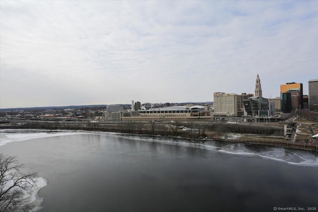 view of water feature featuring a city view