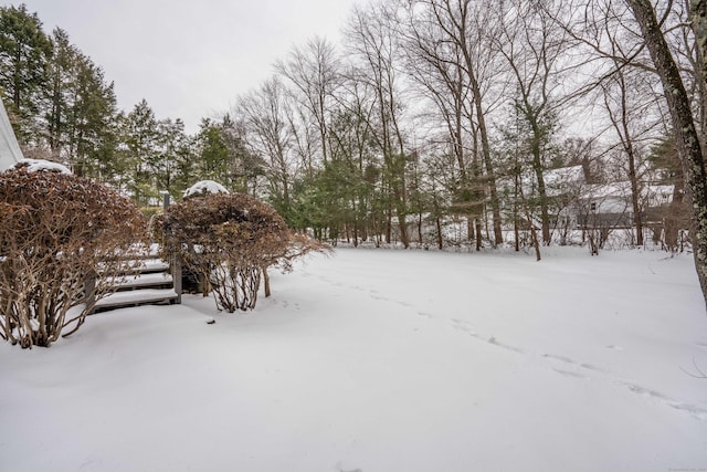 view of yard layered in snow