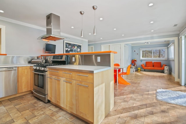 kitchen featuring ornamental molding, appliances with stainless steel finishes, and island exhaust hood