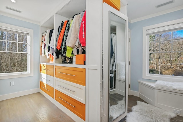 walk in closet with light wood-type flooring