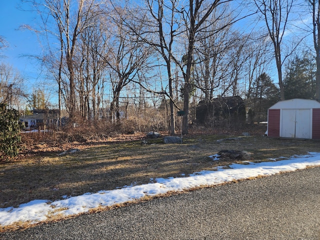 view of yard featuring a storage unit