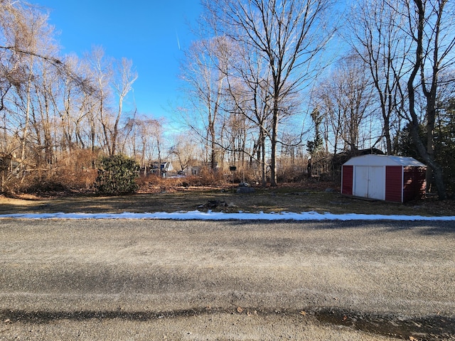 view of yard with a storage unit