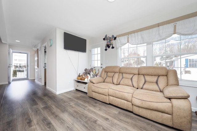 living room with hardwood / wood-style flooring