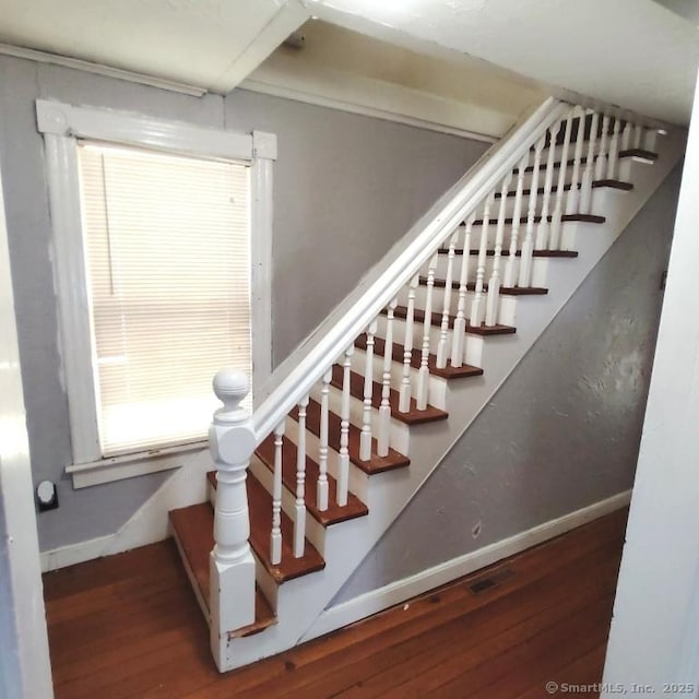 staircase featuring wood-type flooring