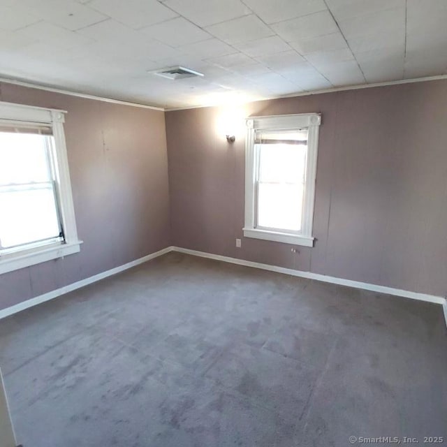 carpeted empty room with plenty of natural light