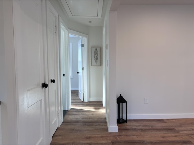 hall featuring dark wood-type flooring