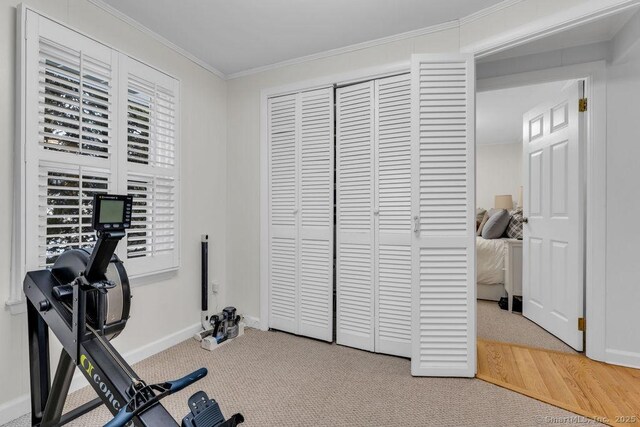 workout area with carpet floors and ornamental molding