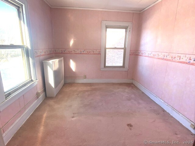 unfurnished room with ornamental molding and light colored carpet