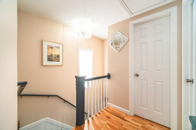 stairway with hardwood / wood-style flooring