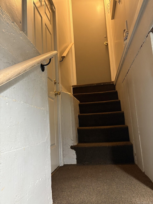 stairway featuring carpet floors