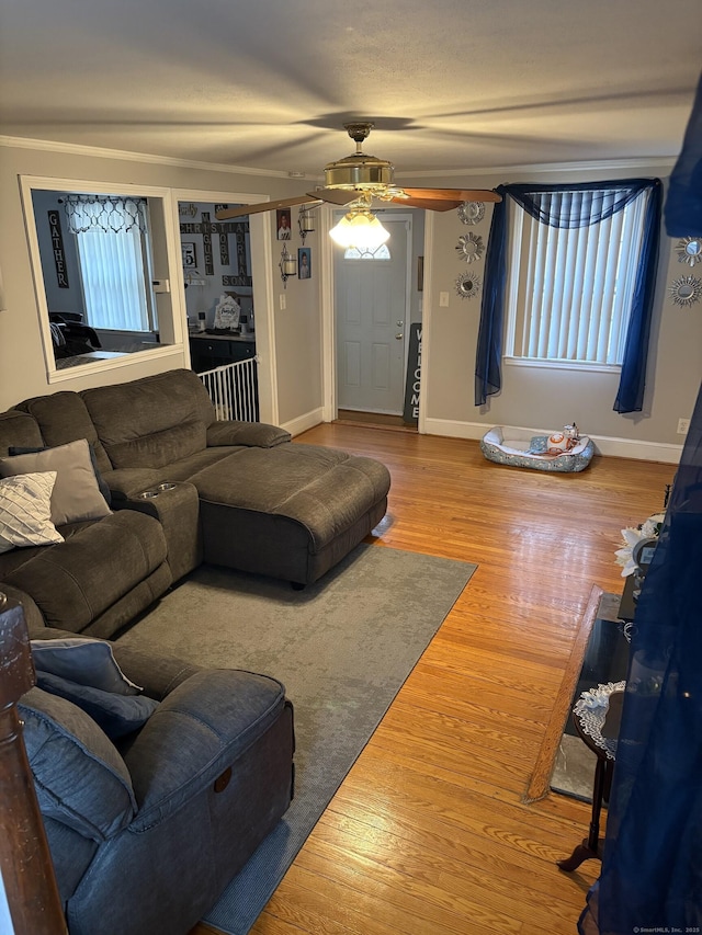 living room with hardwood / wood-style floors and ceiling fan