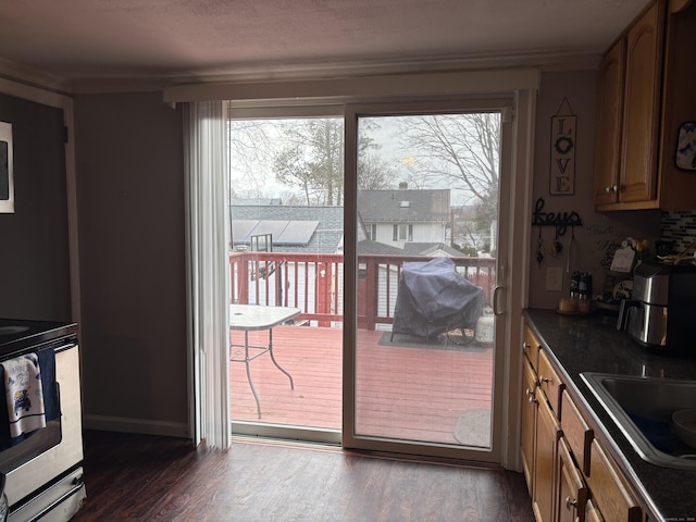 doorway to outside with dark wood-type flooring, plenty of natural light, and sink