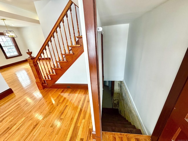 stairway with hardwood / wood-style flooring