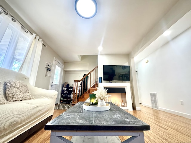 living room featuring wood-type flooring