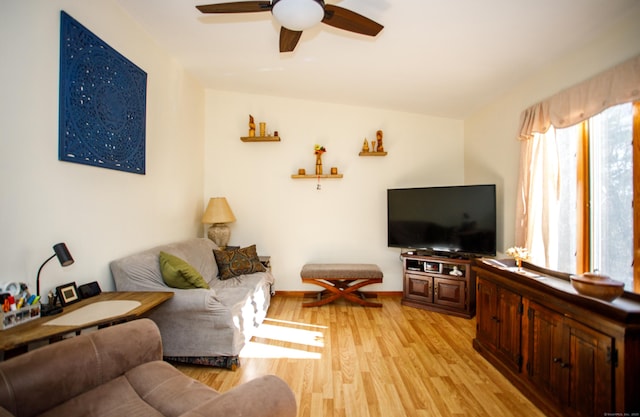 living room with ceiling fan and light wood-type flooring