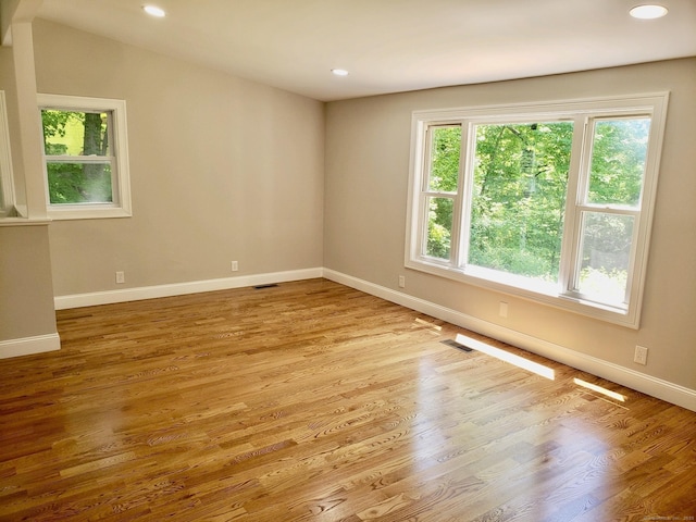 spare room featuring plenty of natural light and light wood-type flooring