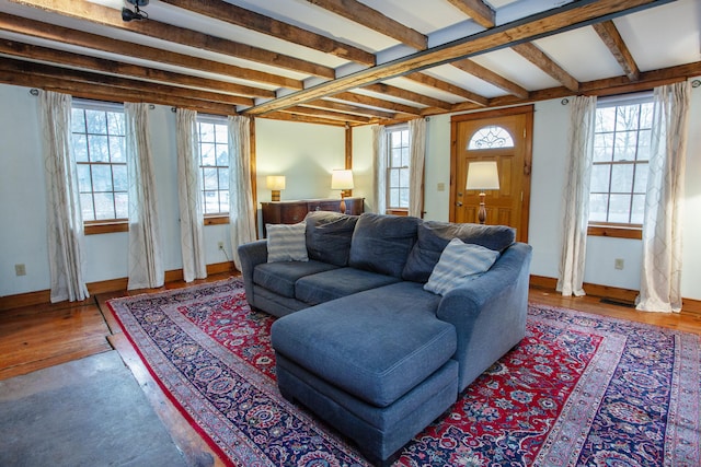 living room with beam ceiling, plenty of natural light, and hardwood / wood-style flooring