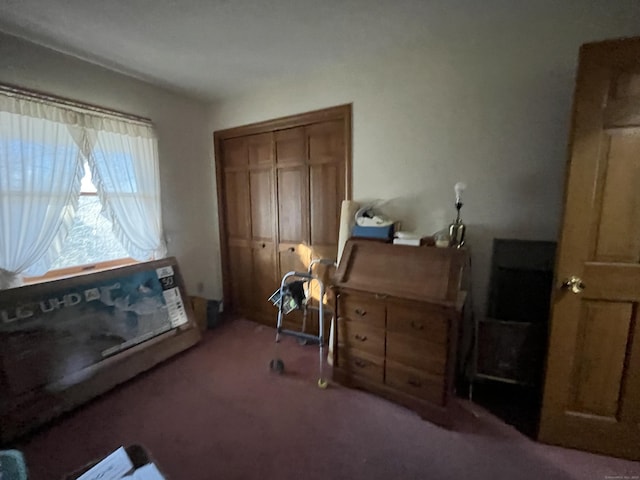 bedroom with a closet and carpet