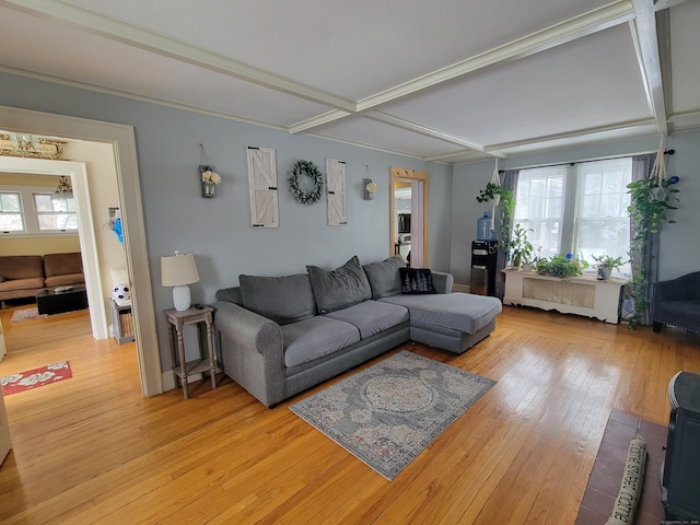 living room featuring coffered ceiling, radiator, and light wood-type flooring