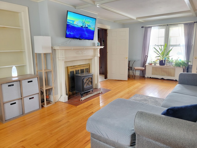 living room with radiator, a wood stove, and light hardwood / wood-style flooring