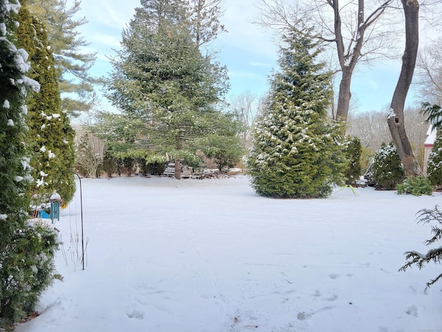 view of snowy yard