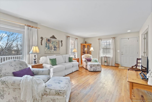 living room featuring light hardwood / wood-style flooring