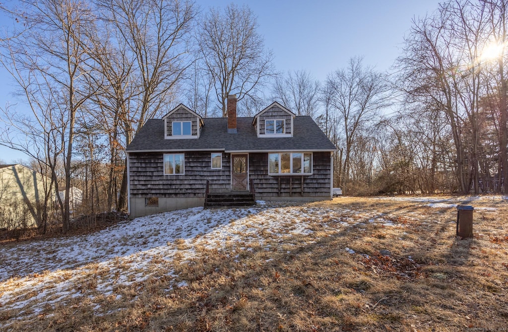 view of cape cod-style house