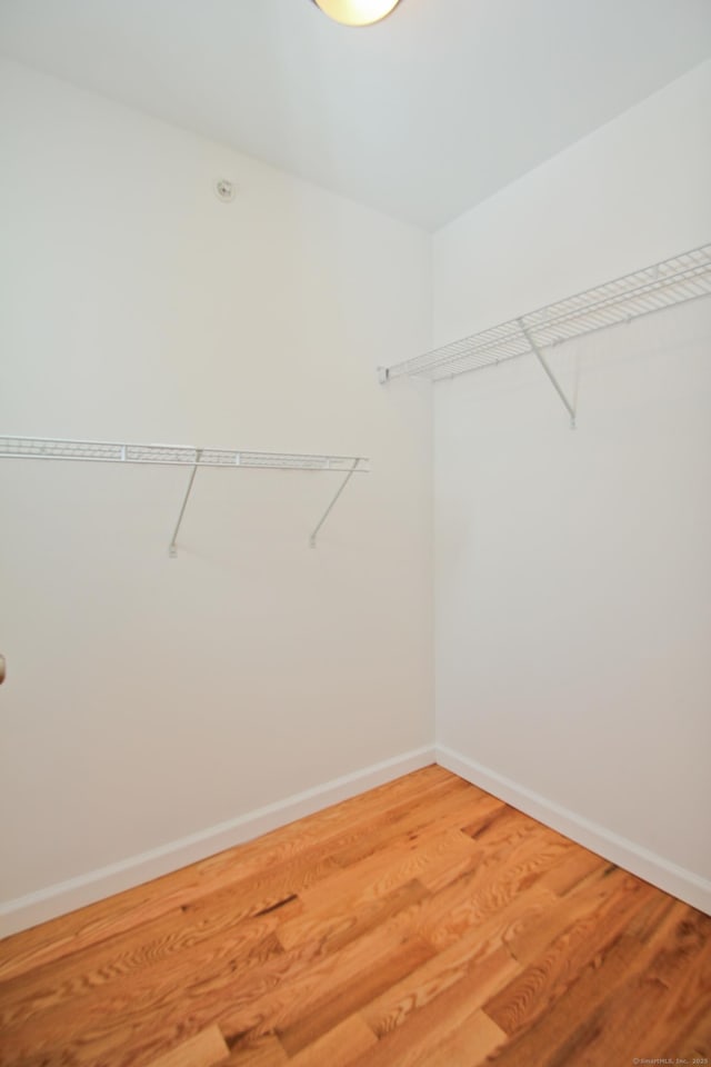 walk in closet featuring hardwood / wood-style floors