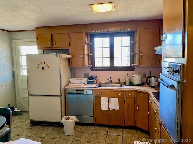 kitchen with a healthy amount of sunlight, sink, and white appliances