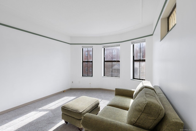 living room featuring light colored carpet