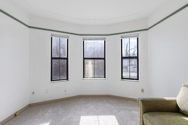 sitting room featuring carpet floors