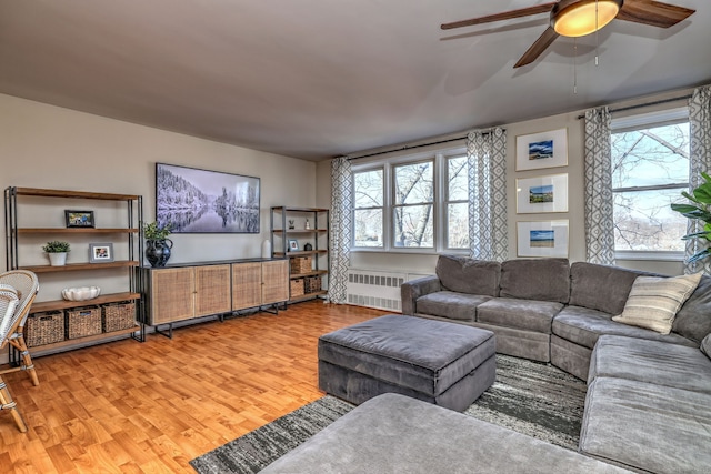 living room featuring ceiling fan, plenty of natural light, radiator, and light hardwood / wood-style floors