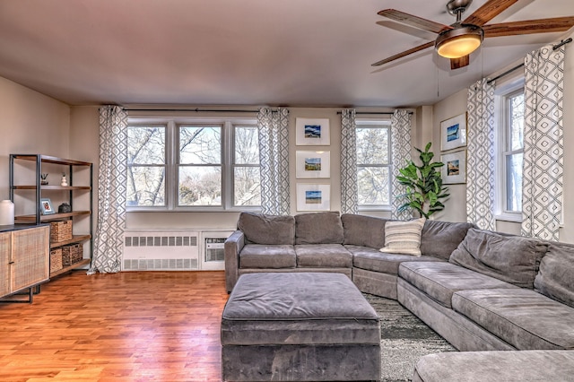 living room featuring ceiling fan, radiator, and hardwood / wood-style floors