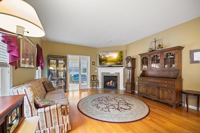 living room featuring hardwood / wood-style flooring