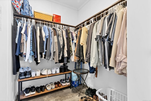 walk in closet with wood-type flooring