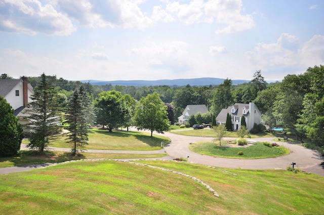 view of home's community with curved driveway and a lawn