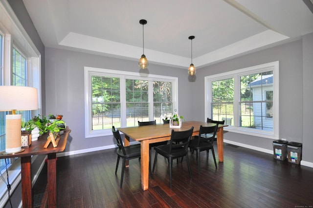 dining space featuring a tray ceiling, dark wood finished floors, and baseboards