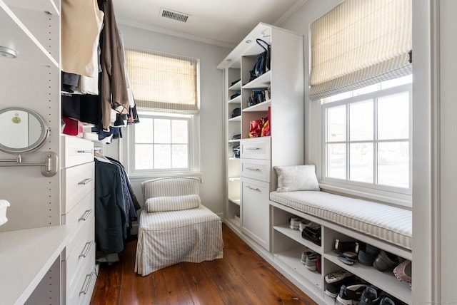 walk in closet with dark hardwood / wood-style floors