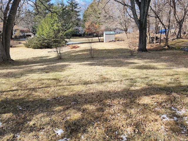 view of yard with a storage unit