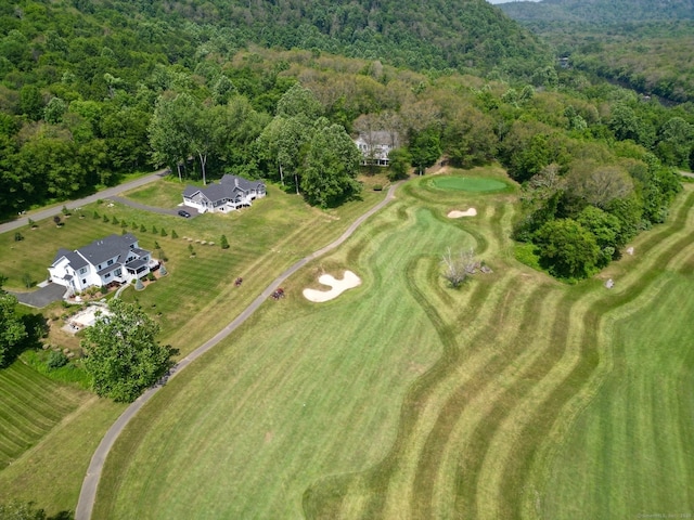 bird's eye view