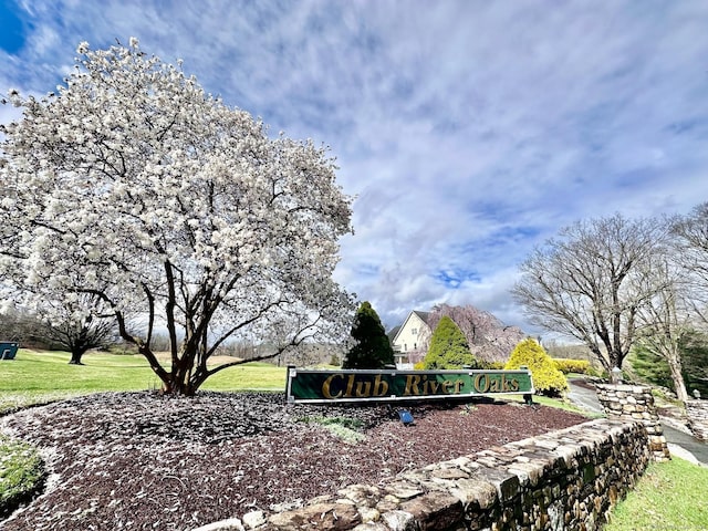 view of property's community with a yard