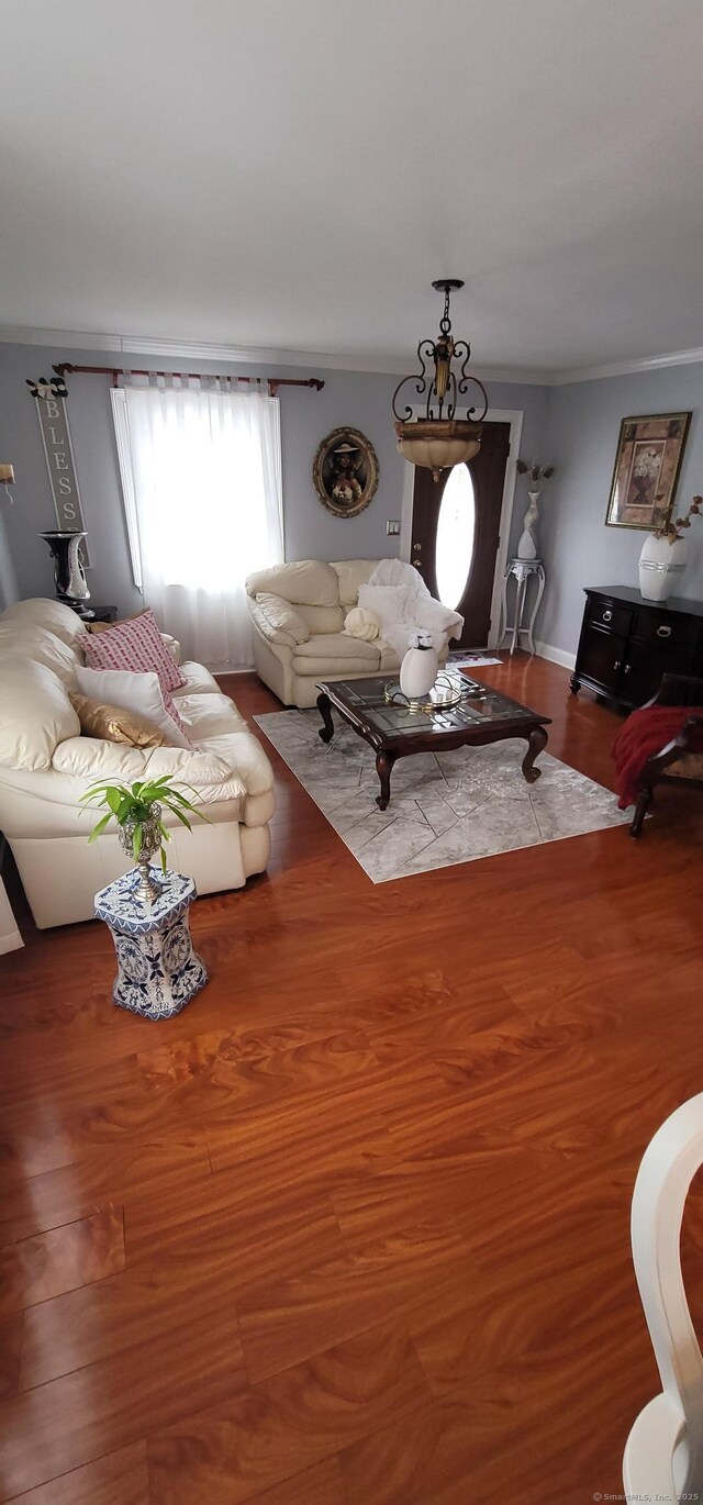 living room featuring crown molding and hardwood / wood-style floors