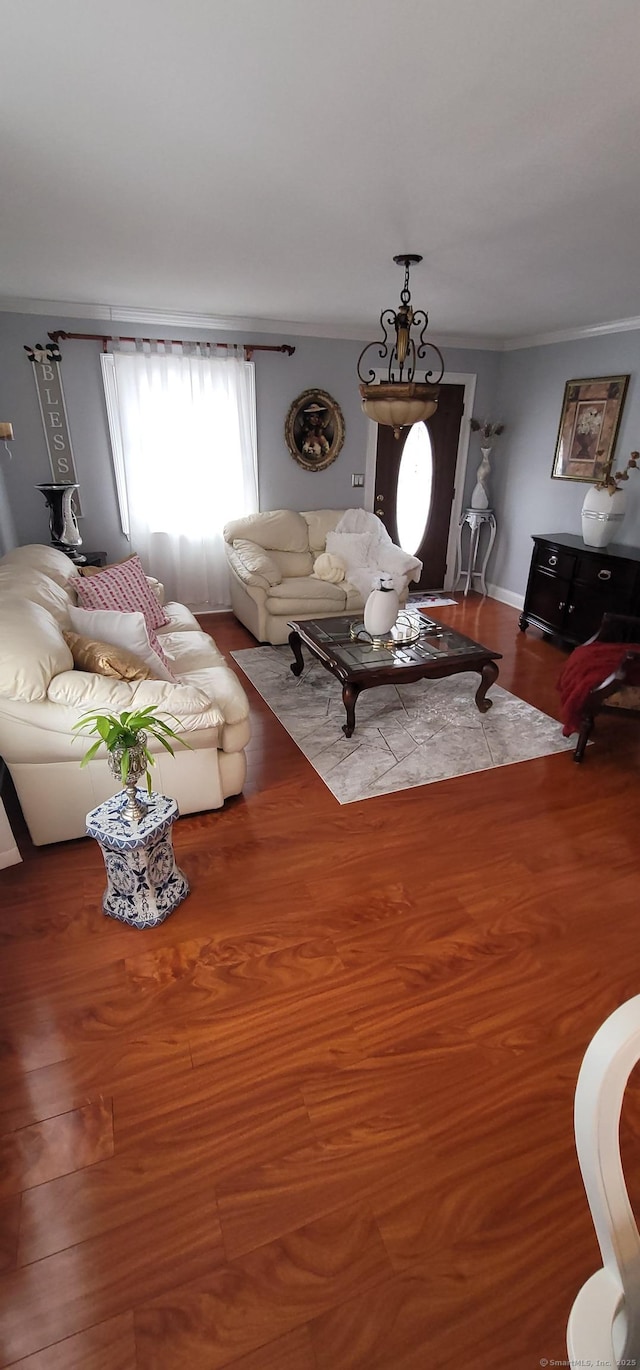 30 Grove Pl, Danbury, CT 06810 - living area with wood finished floors and crown molding