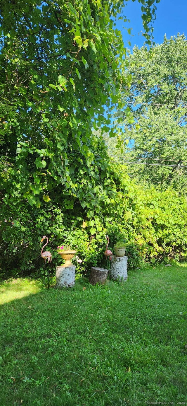 30 Grove Pl, Danbury, CT 06810 - view of green lawn