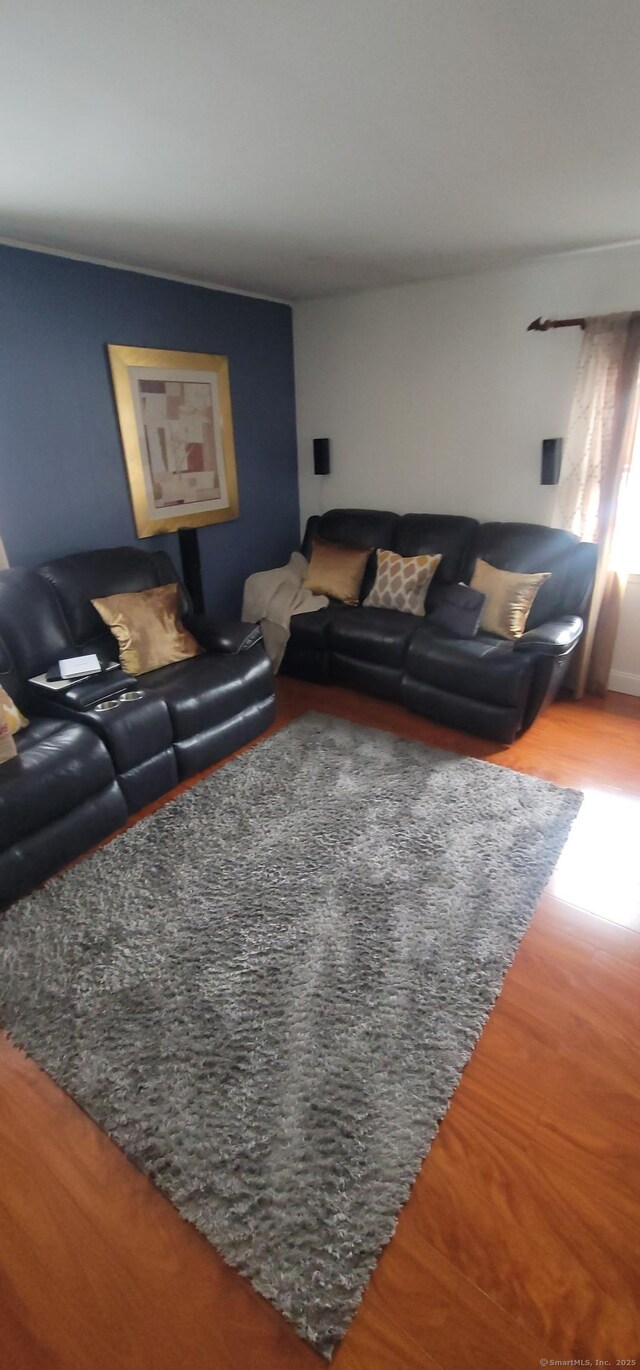 living room featuring hardwood / wood-style flooring