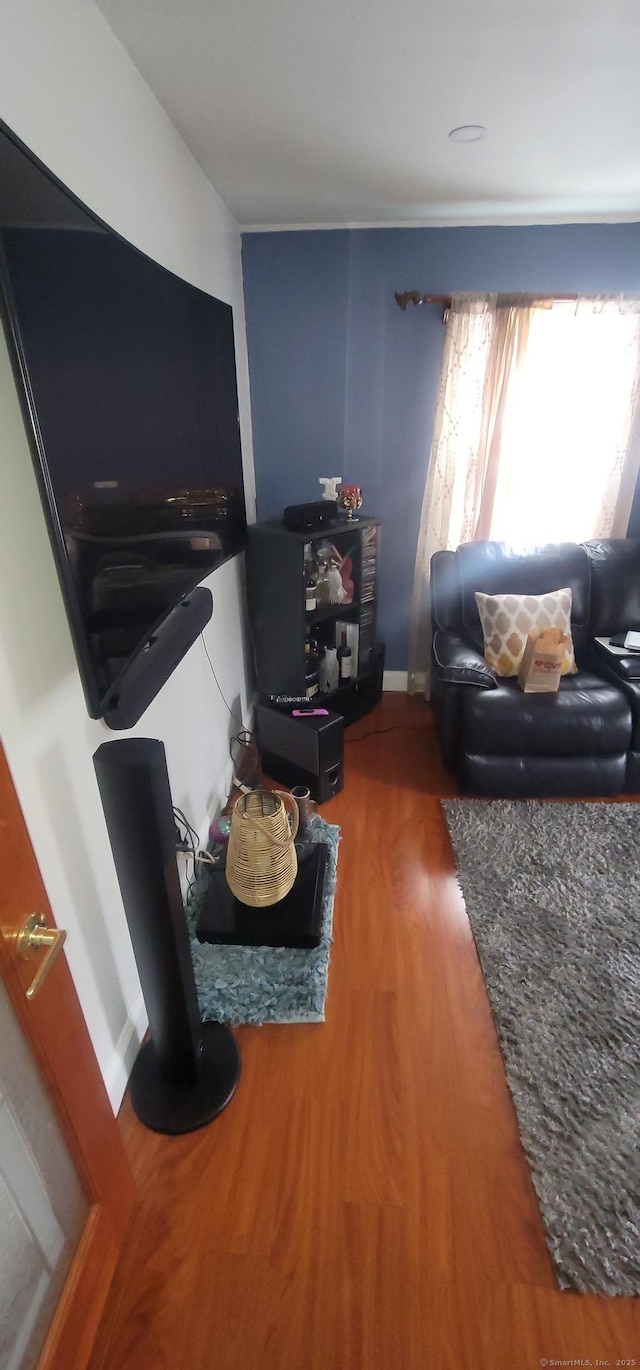 living room with hardwood / wood-style flooring